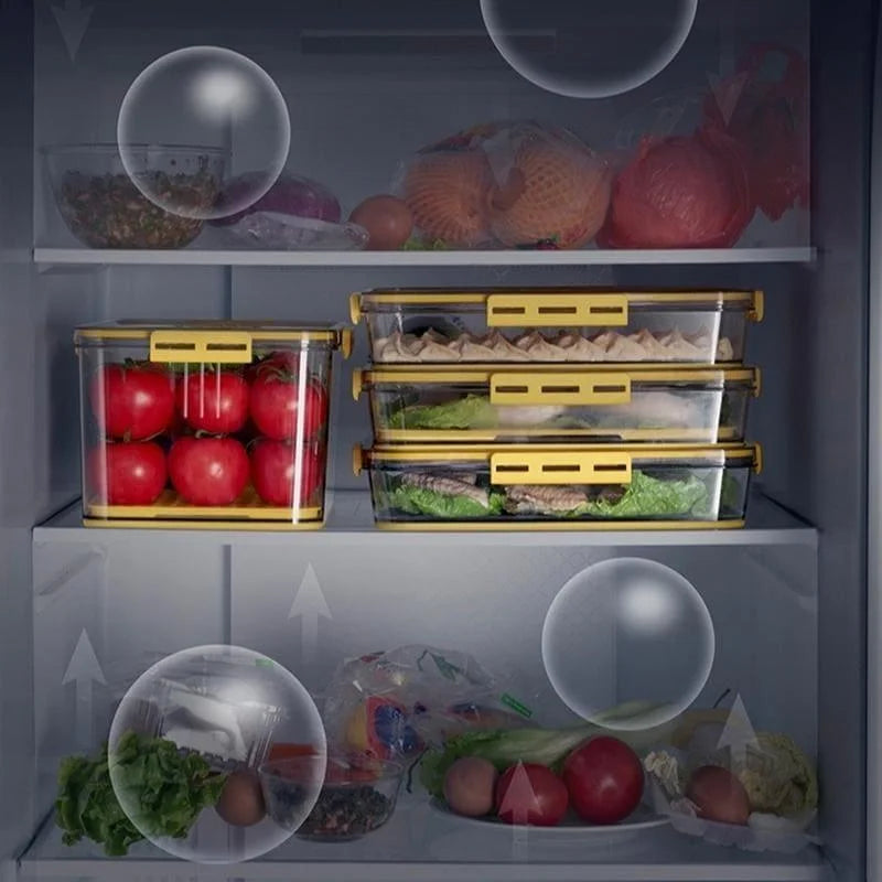 Organizador de Geladeira Transparente com Marcador de Data para Alimentos Lenogue