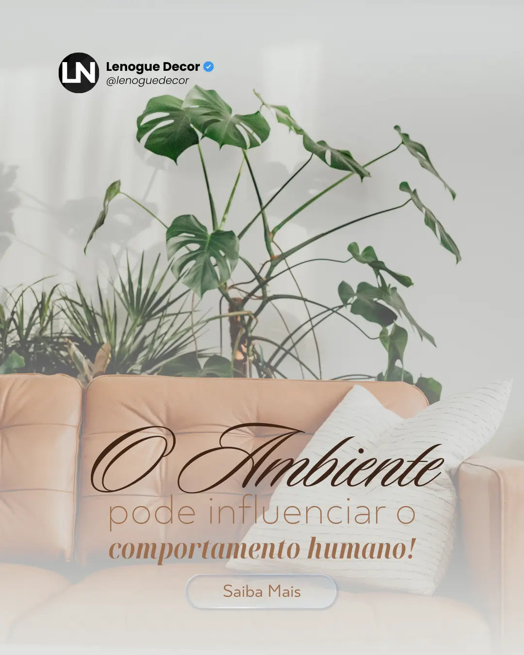 Como o Ambiente Influencia seu Comportamento