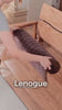 Capa_de_Sofa_Cotele_Corduroy_Antiderrapante_Enchimento_Termico_Lenogue
